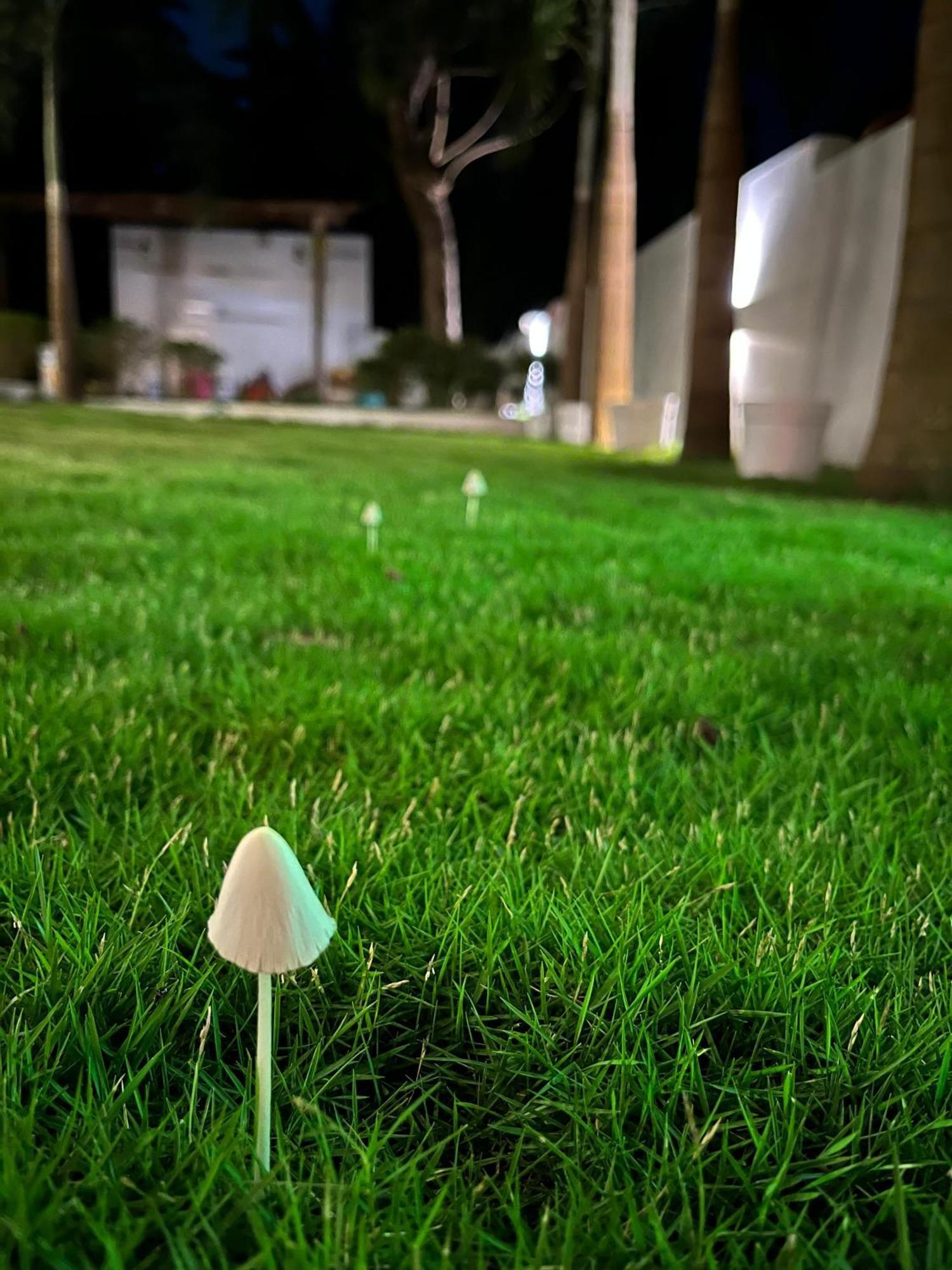 מלון מוריג'ים 14 Magic Pods מראה חיצוני תמונה